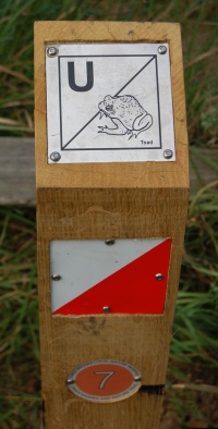 Orienteering Post