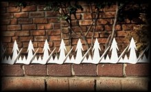 Razor-Spike