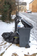 Bins Await Collection in Bradley Stoke