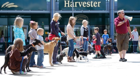 DAWG Fun Dog Show in the Town Square, Bradley Stoke.