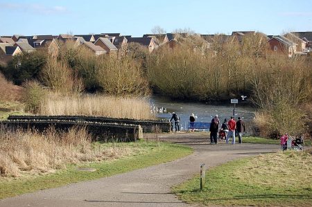 Lake at the Three Brooks Local Nature Reserve, Bradley Stoke.