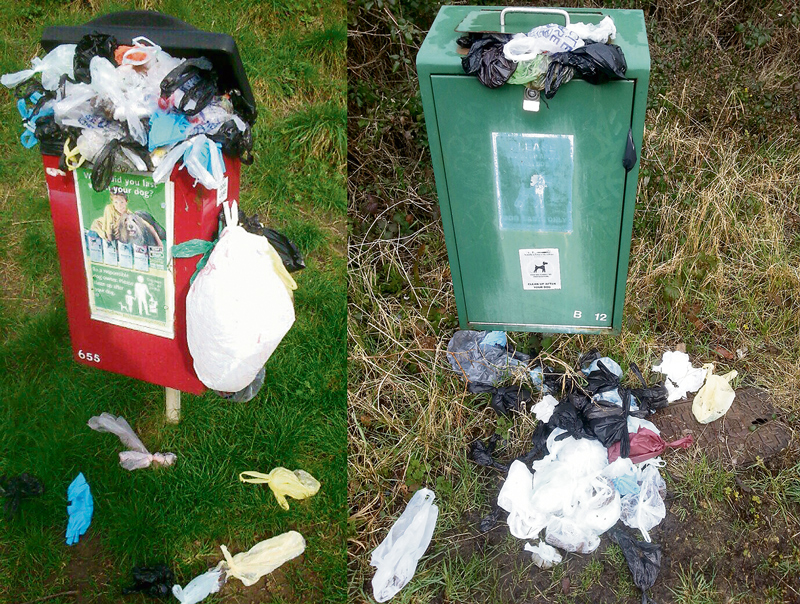 Overflowing dog waste bins in Bradley Stoke.