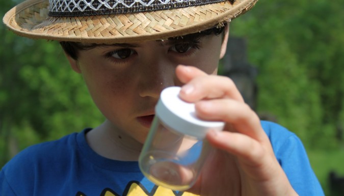 Bioblitz - collecting specimens.