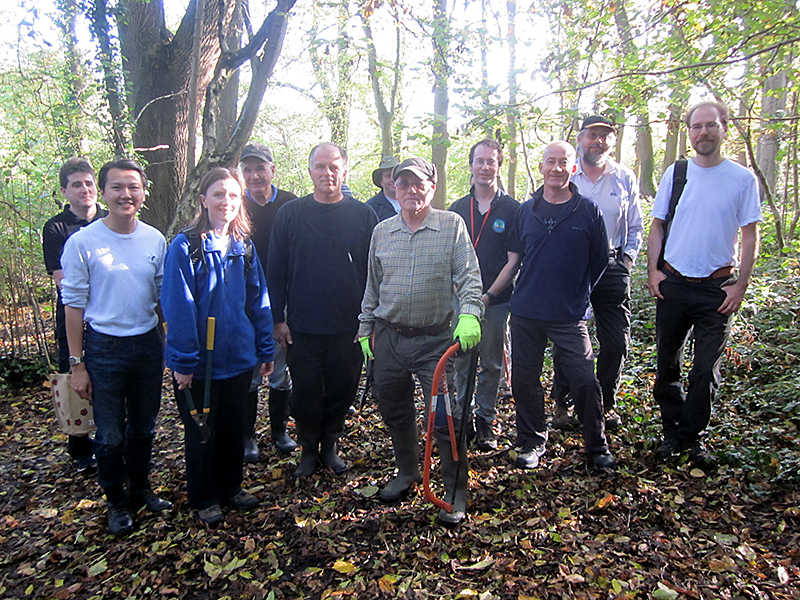 Volunteers at the Three Brooks Nature Conservation Group workday (November 2014) in Bradley Stoke, Bristol.