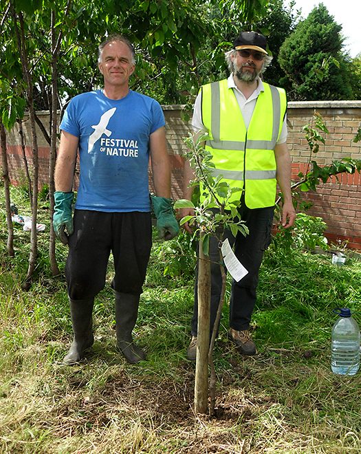 Bradley Stoke in Bloom volunteers at Palmers Corner.