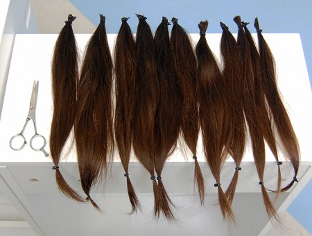 Offcuts of Amy Yeates's hair, destined for the Little Princess Trust.