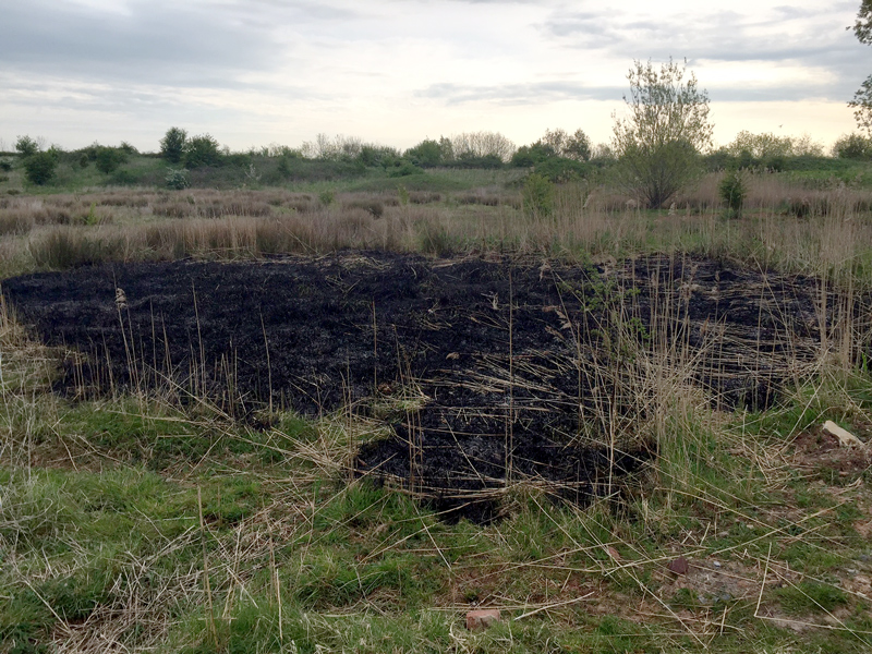 Aftermath of a fire on the Tump, Bradley Stoke, Bristol.