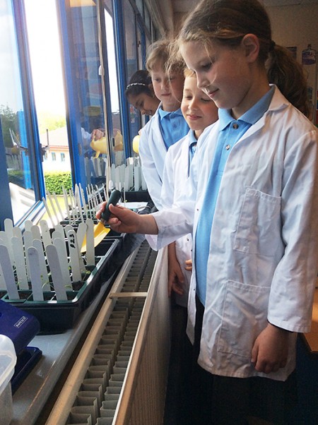 Meadow brook Primary School pupils carrying out live research as part of the Rocket Science project.