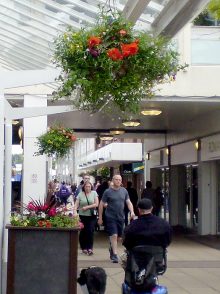 Hanging baskets at Yate Shopping Centre.