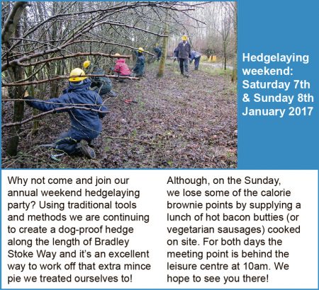 Three Brooks Hedgelaying Weekend 2017.