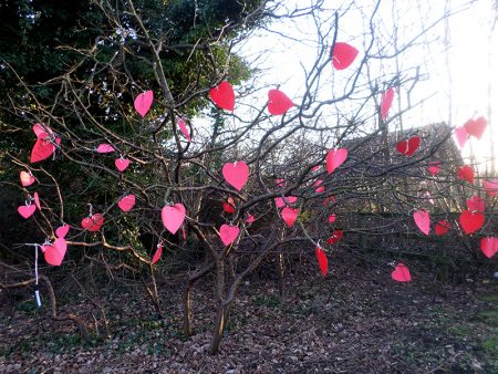 'Valentine's tree' on Savages Wood Road. Created by Bradley Stoke in Bloom.