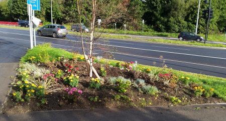 Planting at the 'Aztec Triangle' in Bradley Stoke.