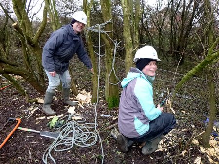 Photo of volunteers laying a hedge.