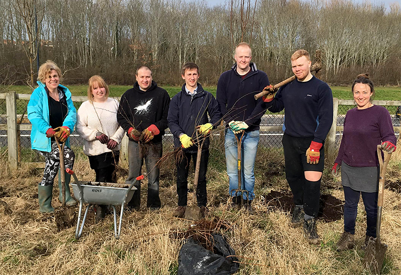 Photo of volunteers from local businesses planting trees at the MSTC.