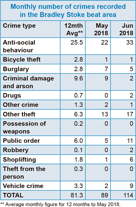 Table showing breakdown of crime in Bradley Stoke: June 2018.
