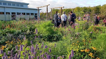 Wide view of the wildlife therapy garden.