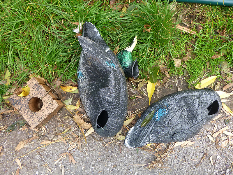 Photo of vandalised decoy ducks at The Common East, Bradley Stoke.