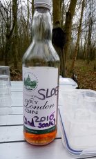 Photo of a bottle of homemade sloe gin.