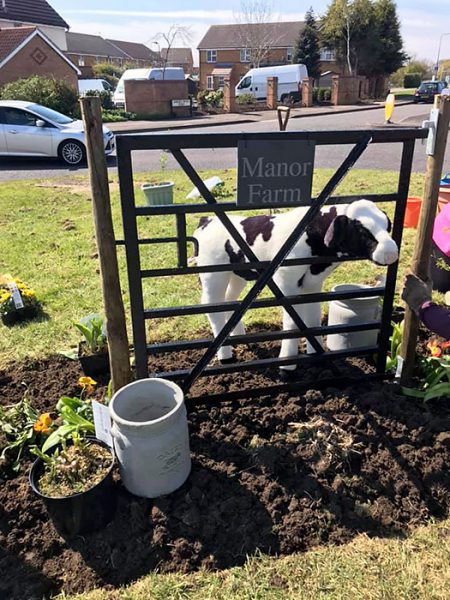 Photo of 'Debbie the heifer' standing behind a gate on Manor Farm Roundabout.