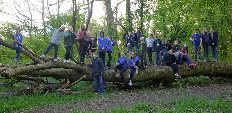 Scouts from the 1st Stoke Gifford Group standing on a large fallen tree during a bat walk.