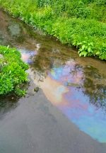 Photo of a pollution sheen on the surface of water in Stoke Brook.