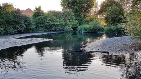 Photo showing banks of silt exposed by low water at the Three Brooks Lake in September 2019.