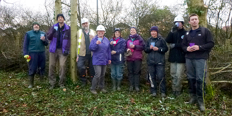 Photo of a group of volunteers on the annual hedgelaying weekend.