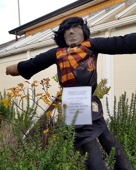 Photo of a scarecrow trail figure at the Jubilee Centre.