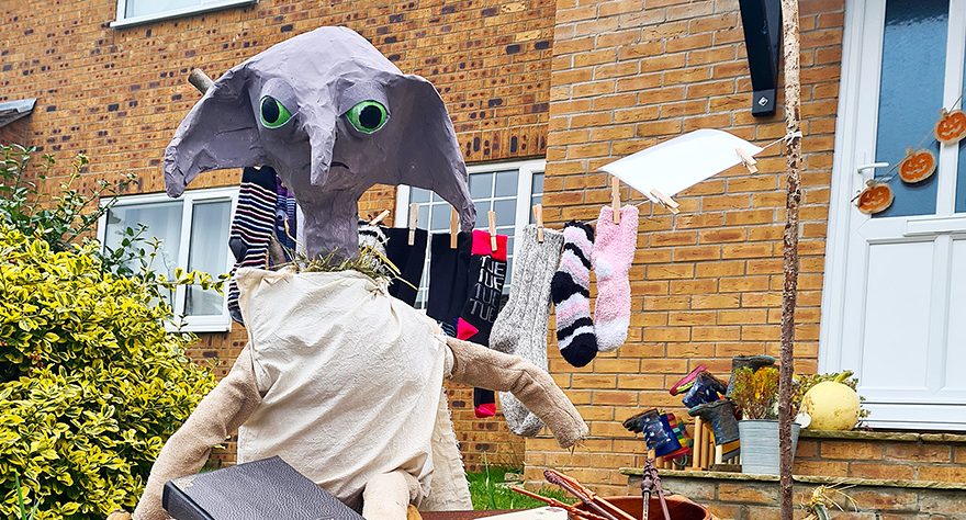 Photo of Dobby the House Elf.