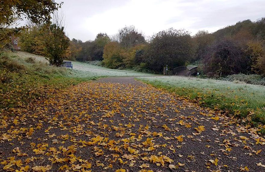 Three Brooks Local Nature Reserve.