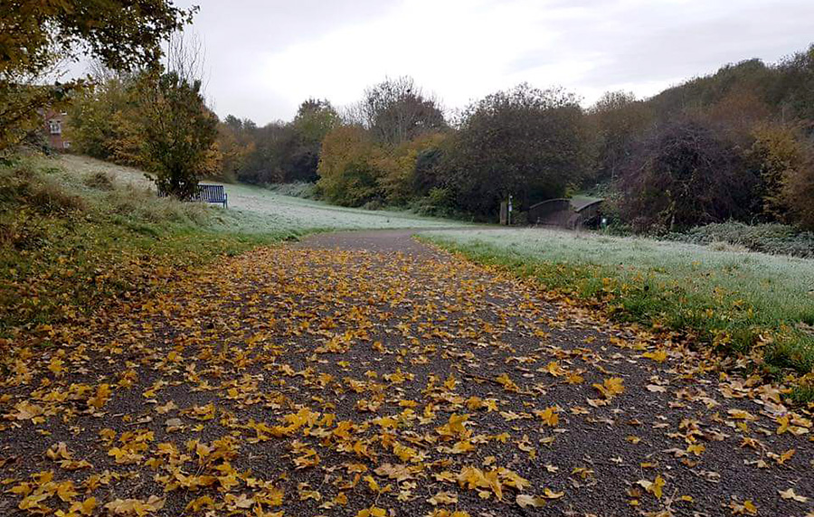 Three Brooks Local Nature Reserve.