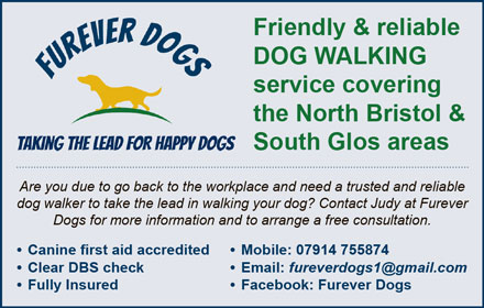 Furever Dogs: Friendly & reliable dog walking service covering the North Bristol & South Glos areas.