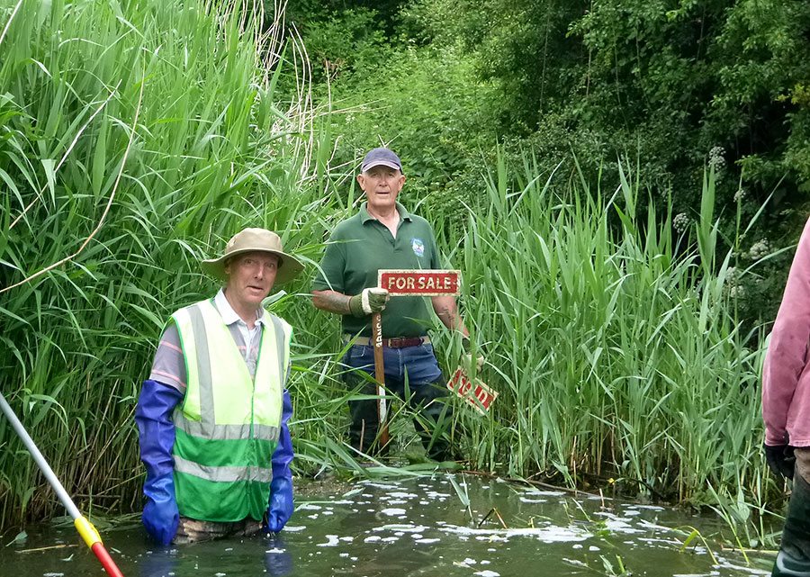 Clearing reeds at the Stoke Brook entrance to Three Brooks Lake. Photo of two people knee-deep in water.