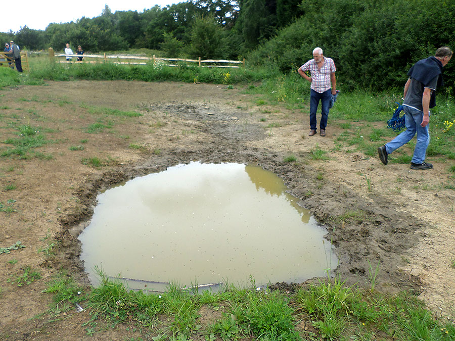 Not retaining water: The 'new' pond in Bowsland Meadow. Photo of a partially dried-up pond.