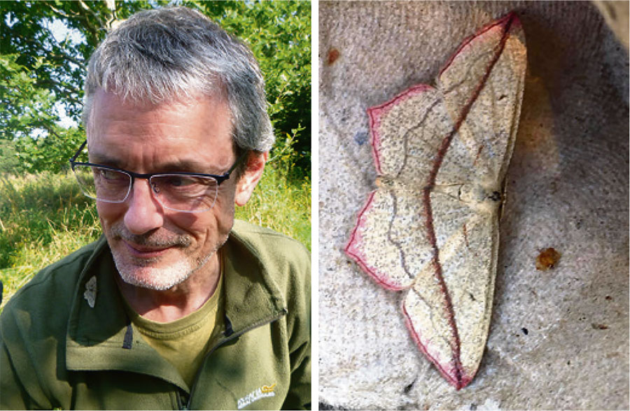 Moth survey. Collage of two photos showing a man and a moth.