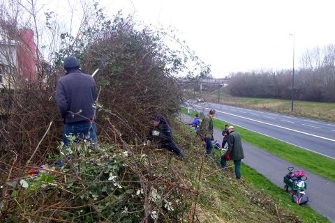 Photo of a group of people clearing vegetation on a roadside.