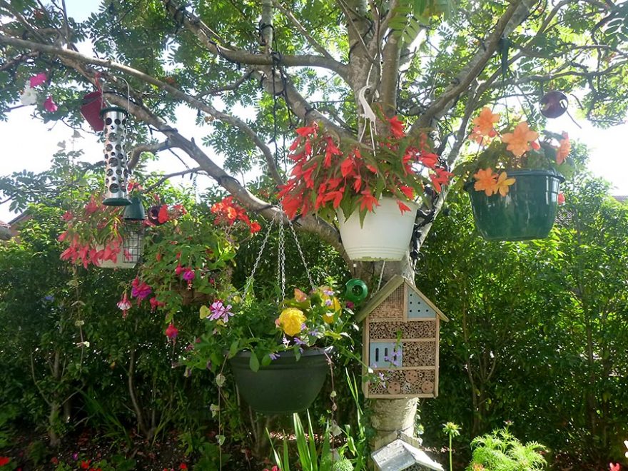 Photo of flowers and ornaments in a garden.